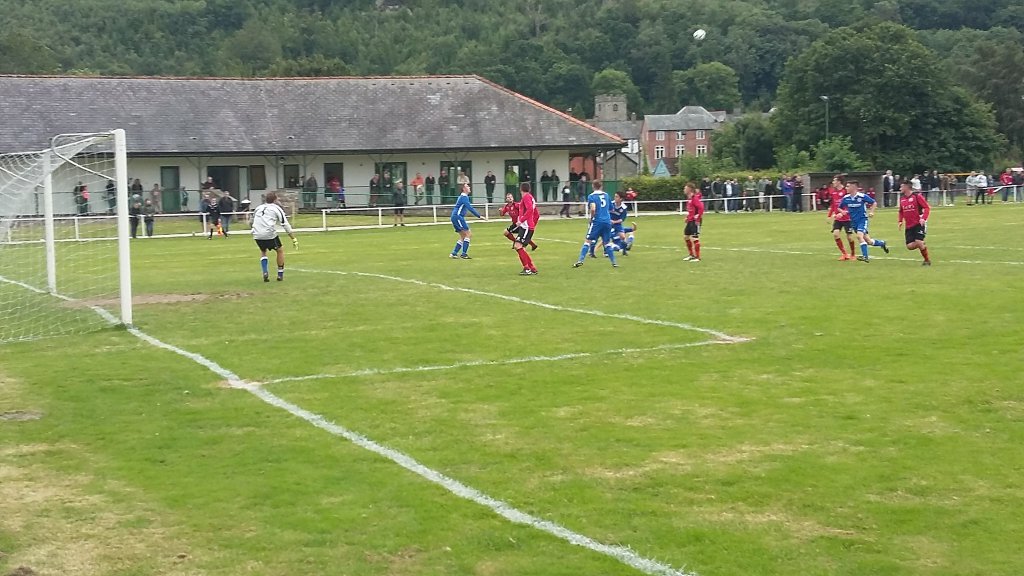 iewYNovi.jpg large.jpg