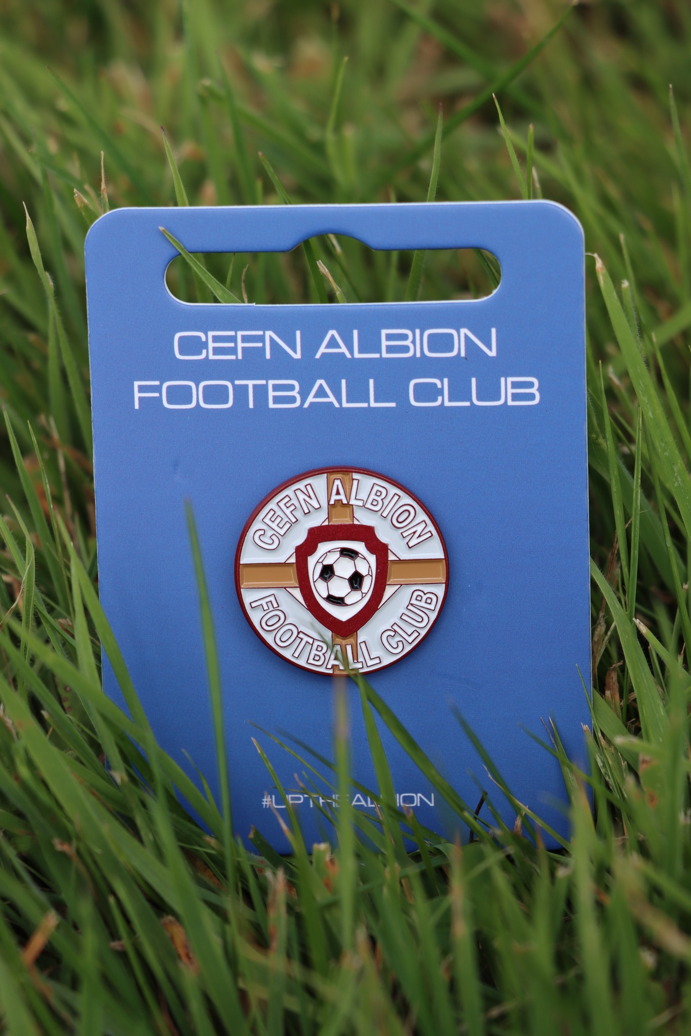 Cefn Albion Official Pin Badges